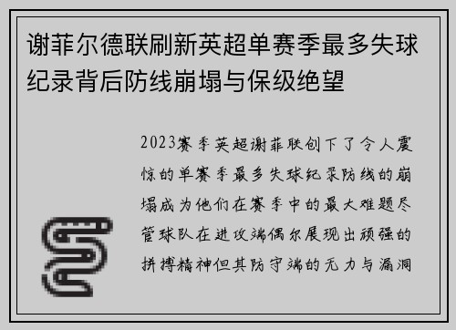 谢菲尔德联刷新英超单赛季最多失球纪录背后防线崩塌与保级绝望