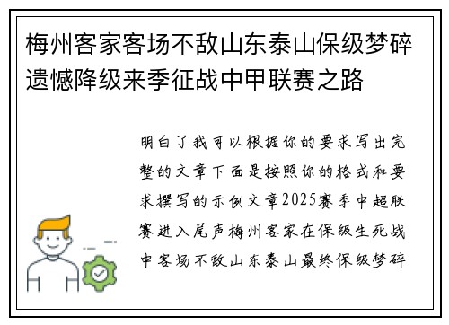梅州客家客场不敌山东泰山保级梦碎遗憾降级来季征战中甲联赛之路